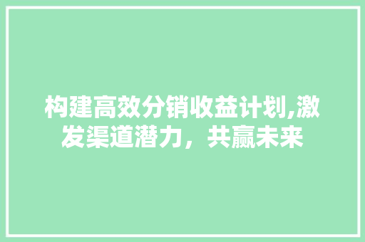 构建高效分销收益计划,激发渠道潜力，共赢未来