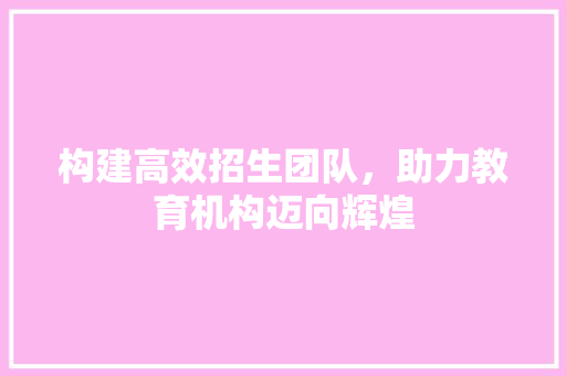 构建高效招生团队，助力教育机构迈向辉煌