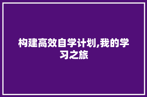 构建高效自学计划,我的学习之旅