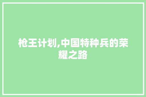 枪王计划,中国特种兵的荣耀之路 范文赏析