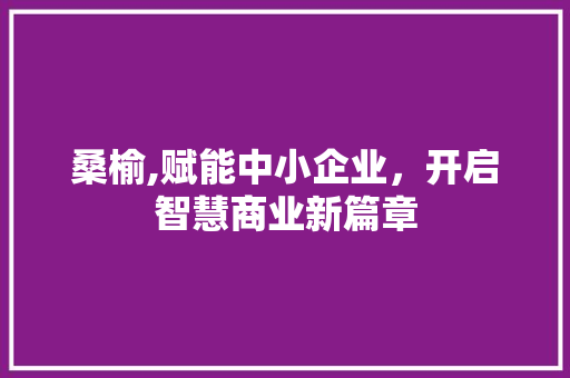 桑榆,赋能中小企业，开启智慧商业新篇章 范文赏析