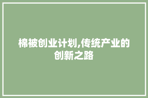 棉被创业计划,传统产业的创新之路