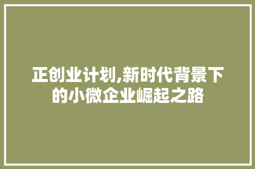 正创业计划,新时代背景下的小微企业崛起之路