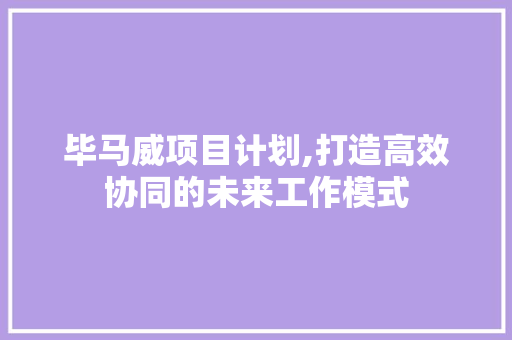毕马威项目计划,打造高效协同的未来工作模式