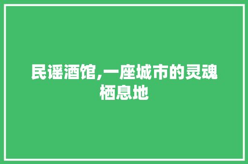 民谣酒馆,一座城市的灵魂栖息地