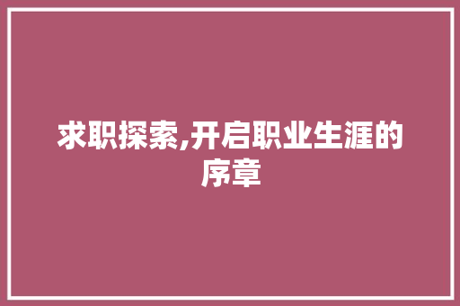 求职探索,开启职业生涯的序章