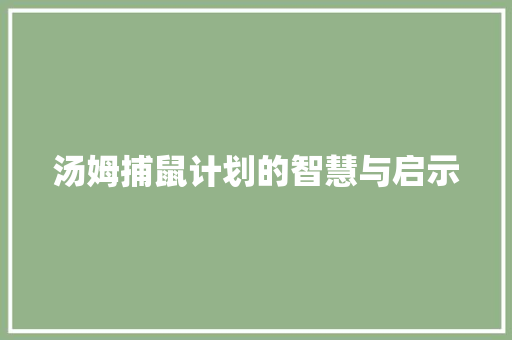 汤姆捕鼠计划的智慧与启示