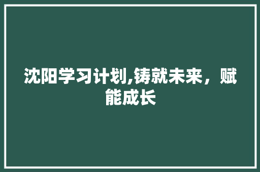 沈阳学习计划,铸就未来，赋能成长