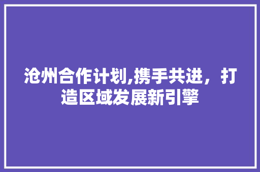 沧州合作计划,携手共进，打造区域发展新引擎