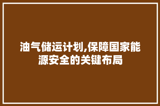 油气储运计划,保障国家能源安全的关键布局