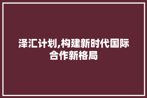 泽汇计划,构建新时代国际合作新格局