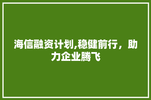 海信融资计划,稳健前行，助力企业腾飞
