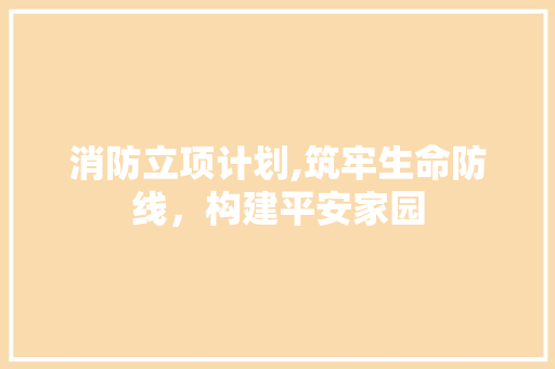 消防立项计划,筑牢生命防线，构建平安家园