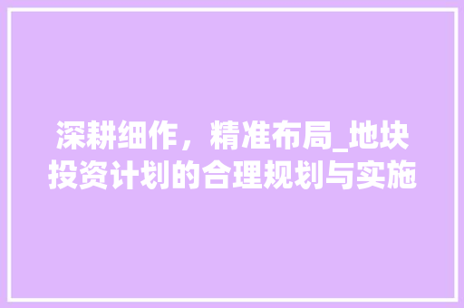 深耕细作，精准布局_地块投资计划的合理规划与实施步骤 报告写作