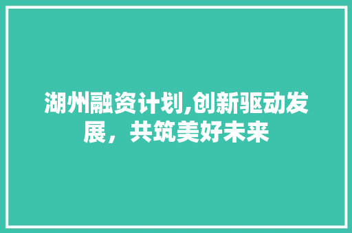 湖州融资计划,创新驱动发展，共筑美好未来