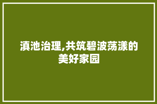 滇池治理,共筑碧波荡漾的美好家园