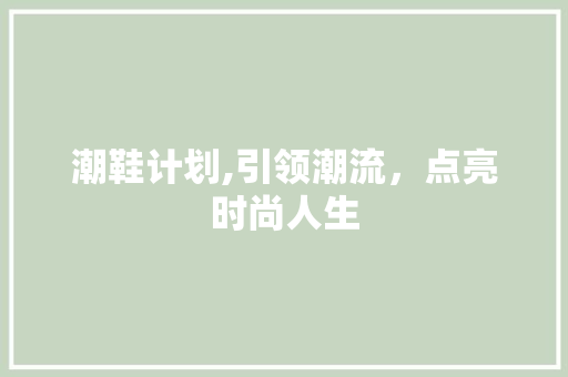 潮鞋计划,引领潮流，点亮时尚人生 简历模板