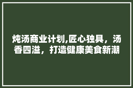 炖汤商业计划,匠心独具，汤香四溢，打造健康美食新潮流