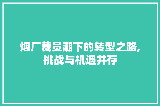烟厂裁员潮下的转型之路,挑战与机遇并存