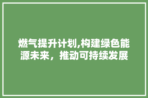 燃气提升计划,构建绿色能源未来，推动可持续发展