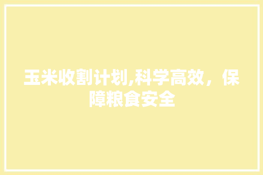玉米收割计划,科学高效，保障粮食安全