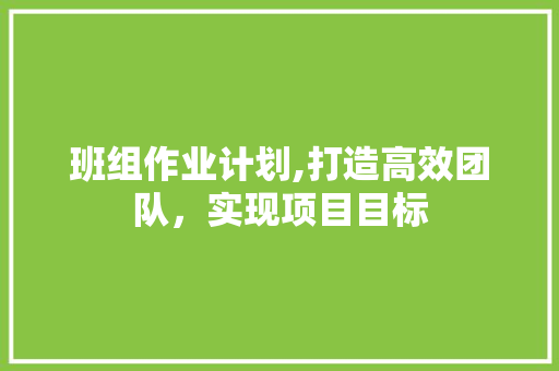 班组作业计划,打造高效团队，实现项目目标