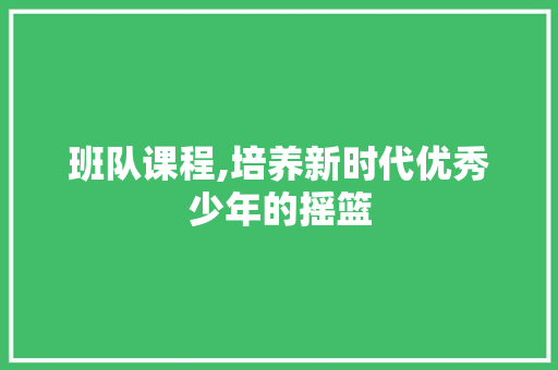 班队课程,培养新时代优秀少年的摇篮 范文赏析