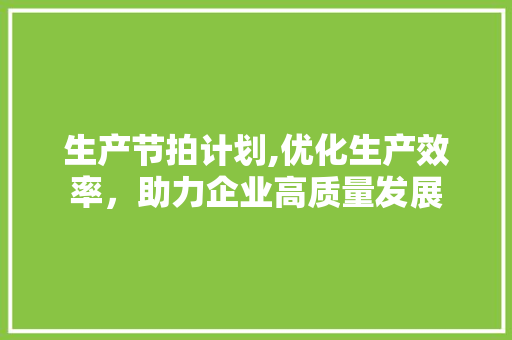 生产节拍计划,优化生产效率，助力企业高质量发展