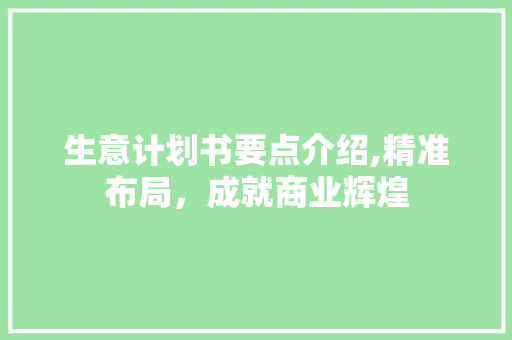 生意计划书要点介绍,精准布局，成就商业辉煌