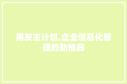 用友主计划,企业信息化管理的助推器