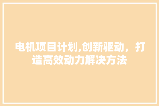 电机项目计划,创新驱动，打造高效动力解决方法