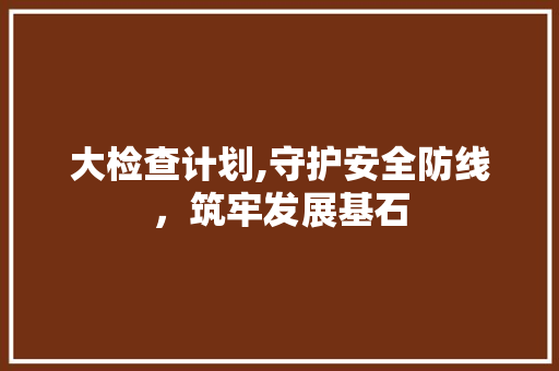 大检查计划,守护安全防线，筑牢发展基石 简历模板