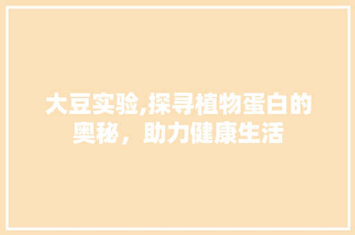 大豆实验,探寻植物蛋白的奥秘，助力健康生活