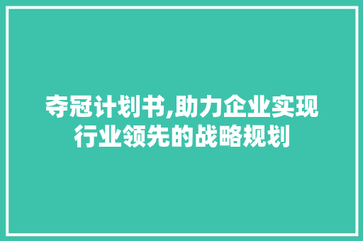 夺冠计划书,助力企业实现行业领先的战略规划