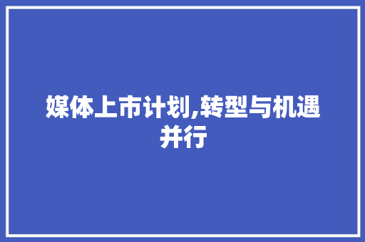 媒体上市计划,转型与机遇并行