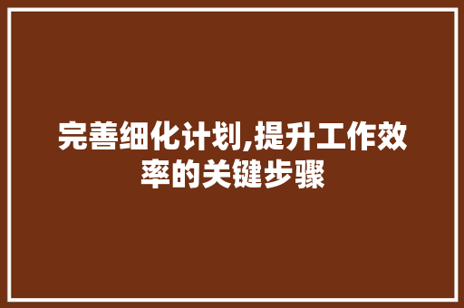 完善细化计划,提升工作效率的关键步骤