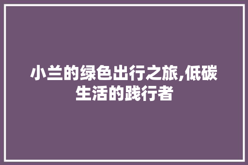 小兰的绿色出行之旅,低碳生活的践行者