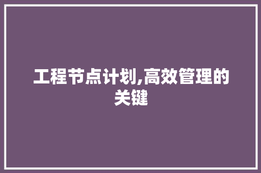 工程节点计划,高效管理的关键
