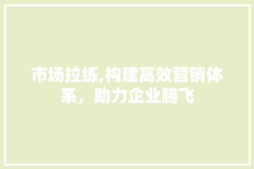 市场拉练,构建高效营销体系，助力企业腾飞