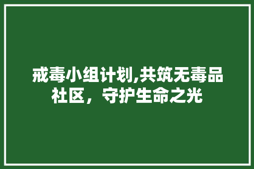 戒毒小组计划,共筑无毒品社区，守护生命之光