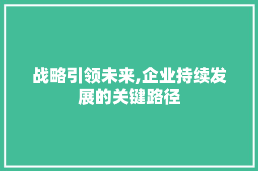 战略引领未来,企业持续发展的关键路径
