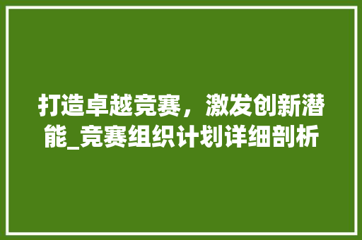 打造卓越竞赛，激发创新潜能_竞赛组织计划详细剖析