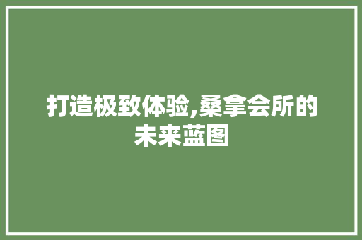 打造极致体验,桑拿会所的未来蓝图
