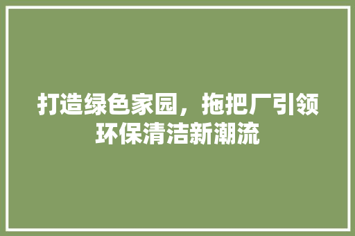 打造绿色家园，拖把厂引领环保清洁新潮流