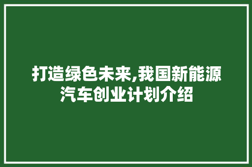 打造绿色未来,我国新能源汽车创业计划介绍