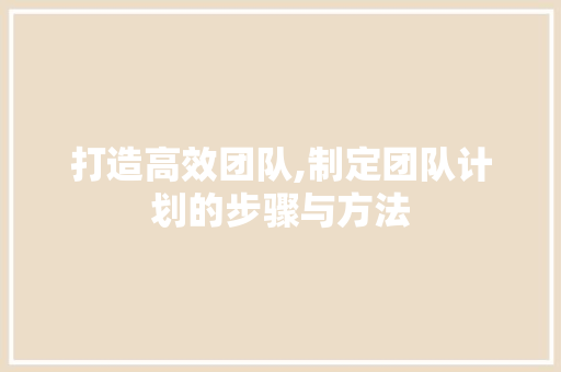 打造高效团队,制定团队计划的步骤与方法
