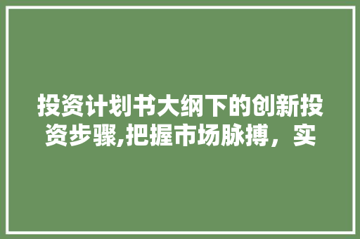 投资计划书大纲下的创新投资步骤,把握市场脉搏，实现财富增值