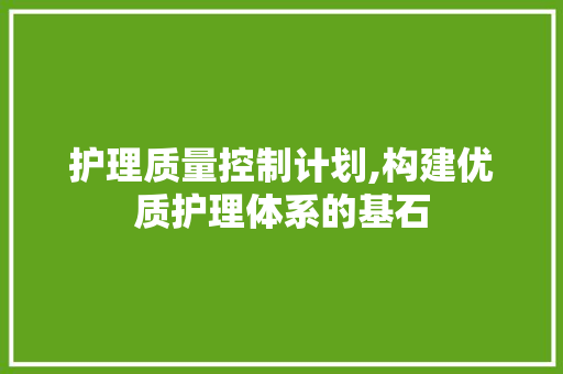 护理质量控制计划,构建优质护理体系的基石