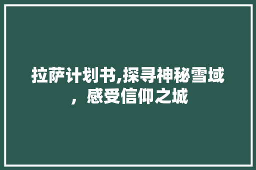 拉萨计划书,探寻神秘雪域，感受信仰之城