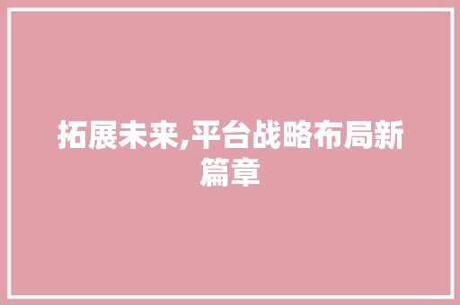 拓展未来,平台战略布局新篇章